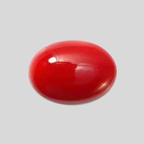 Natural Red Coral Collection Rasikhgems