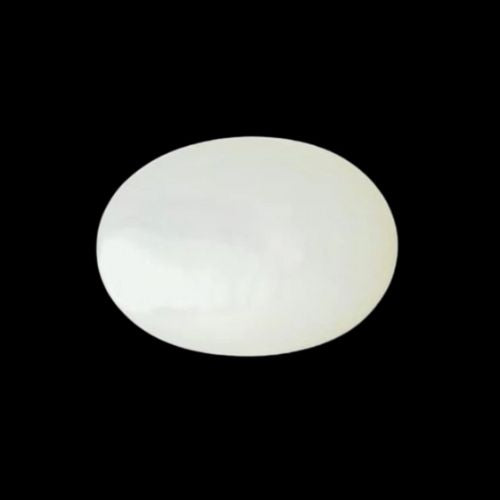 Natural White Coral Collection Rasikhgems