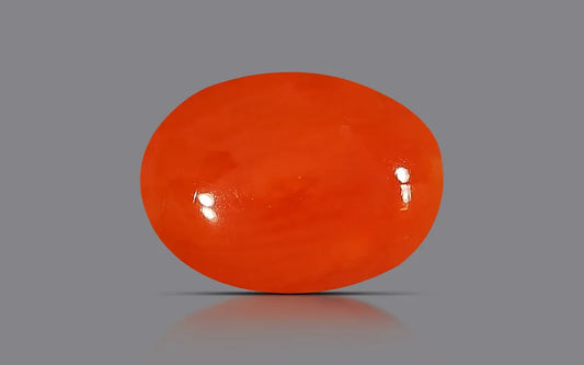 Red Coral - 0.74 Carats