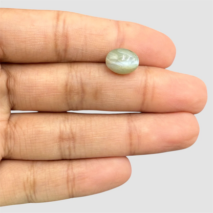 Natural Cat’s Eye Oval Cabochon Cut - 5.0 Carats