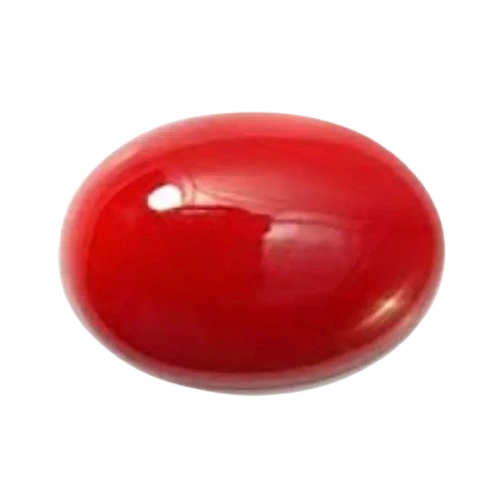 Red Coral (Moonga)