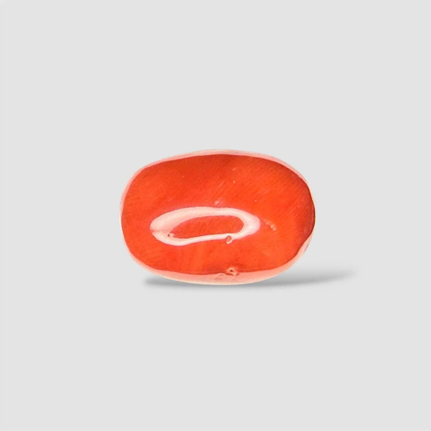 Natural Red Coral Oval Cut - 16.00 Carats