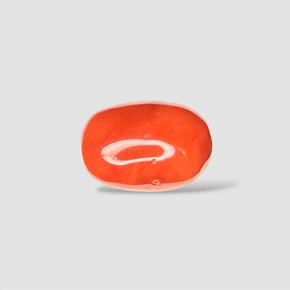 Natural Red Coral Oval Cut - 16.00 Carats