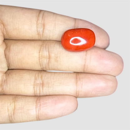 Natural Red Coral Oval Cut - 16.00 Carats