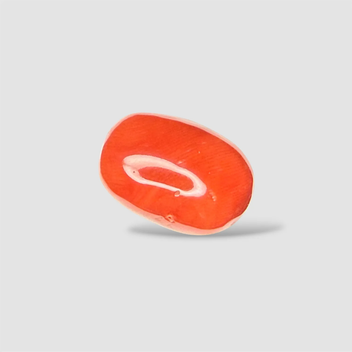 Natural Red Coral Oval Cut - 16.00 Carats