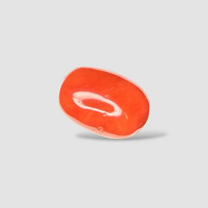 Natural Red Coral Oval Cut - 16.00 Carats