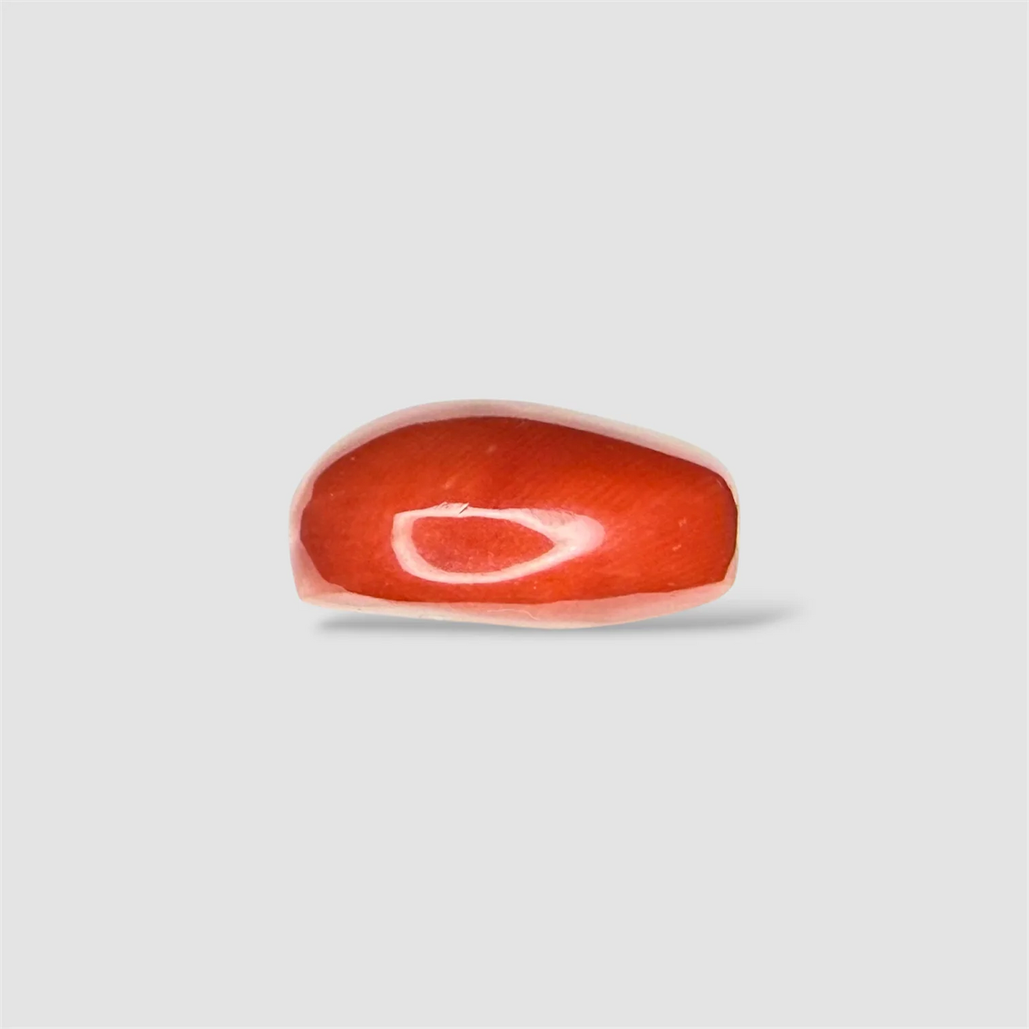 Natural Red Coral Oval Cut - 16.00 Carats