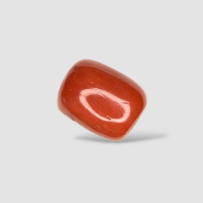 Natural Red Coral Tube Cut - 9.05 Carats