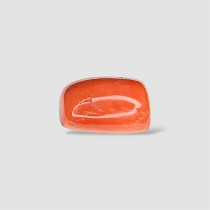 Natural Red Coral Tube Cut - 9.05 Carats