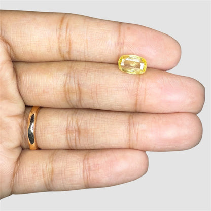 Natural Yellow Sapphire Cushion/Faceted Cut - 3.03 Carats