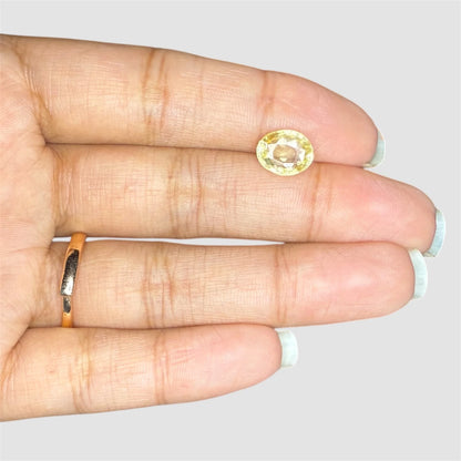 Natural Yellow Sapphire Oval/Faceted Cut - 3.12 Carats